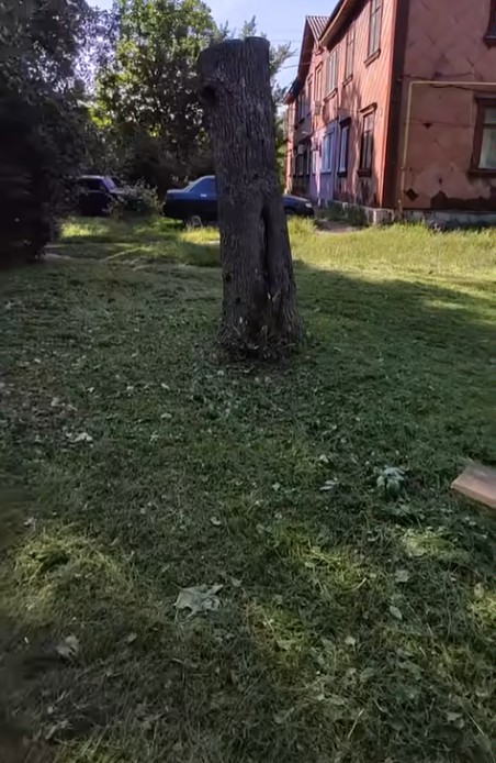 Opinión GrassTrim de Giuseppe